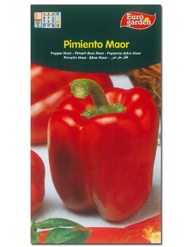 SEMILLAS FITO HORTICOLAS PIMIENTO MAOR00258