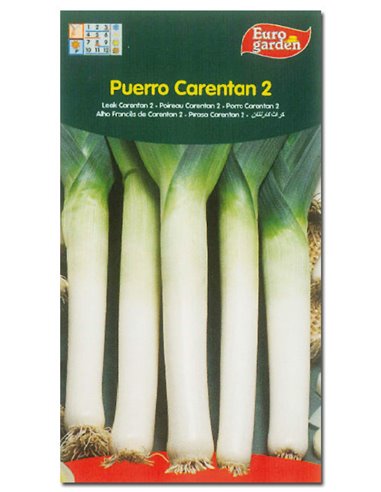 SEMILLAS FITO HORTICOLAS PUERRO VERDE DE CARENTAN 200261