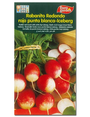 SEMILLAS FITO HORTICOLAS RABANITO R.ROJO P. BLANCA ICEBER00269