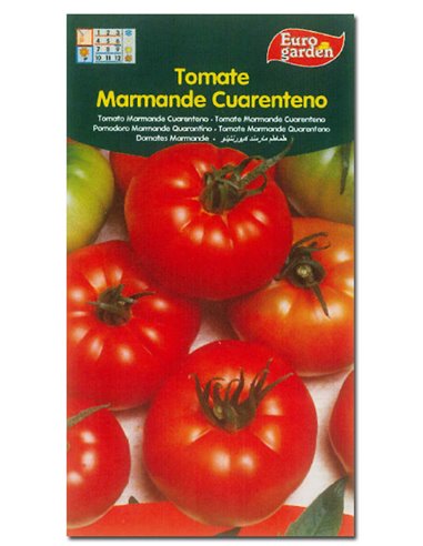 SEMILLAS FITO HORTICOLAS TOMATE "CUARENTENO" MARMANDE00290