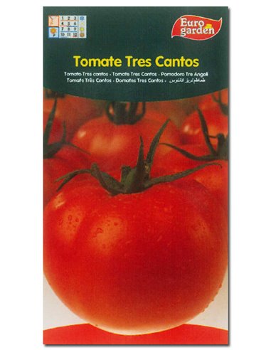 SEMILLAS FITO HORTICOLAS TOMATE TRES CANTOS00293