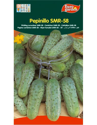 SEMILLAS FITO HORTICOLAS PEPINILLO SMR-58 (ENCURTIR)00238