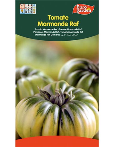 SEMILLAS FITO HORTICOLAS TOMATE "RAF" MARMANDE06235