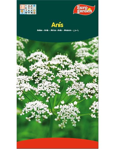 SEMILLAS FITO AROMATICAS ANIS06761