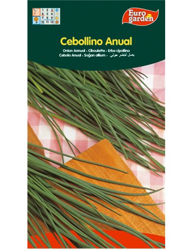 SEMILLAS FITO AROMATICAS CEBOLLINO ANUAL03084