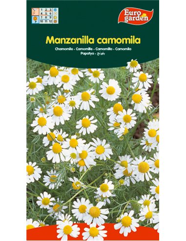 SEMILLAS FITO AROMATICAS MANZANILLA (CAMOMILA)00648