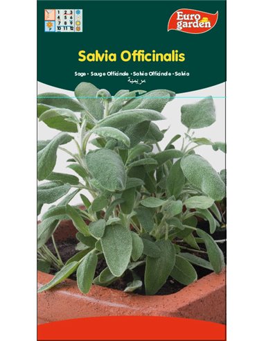 SEMILLAS FITO AROMATICAS SALVIA OFFICINALIS02607