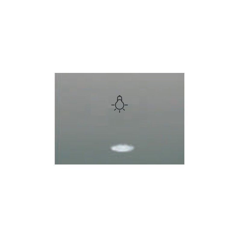Tecla pulsador bombilla luminoso GRIS SOMBRA BJC Coral 21717-GSL