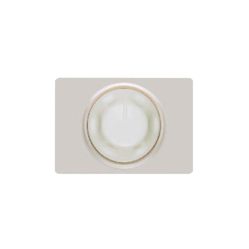 Tapa regulador de intensidad luminosa PLATA LUNA BJC Coral 21749-PL