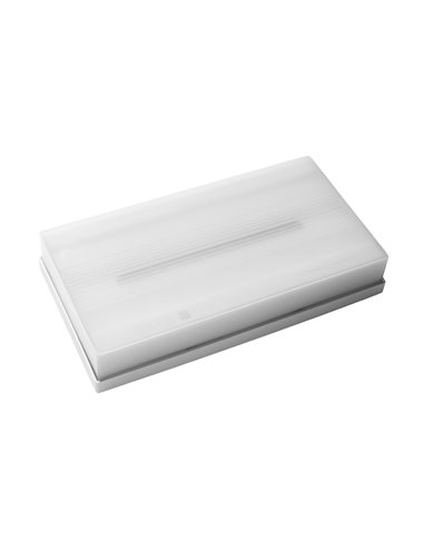 Éclairage de secours LED standard « Smart » en surface (1,1W 5700K 330lm) IP42/IK07 21x11,2x4cm couleur blanche