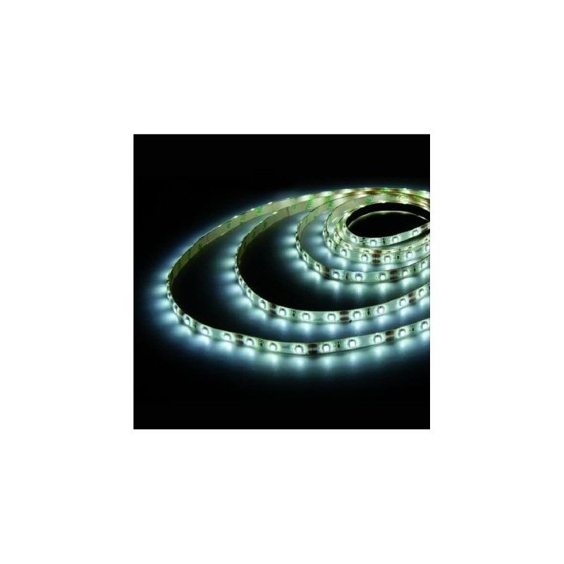 Led strip 5m 6000K 14.4 W/m 1320lm/m 24V IP20 SMD5630 GSC 1504590