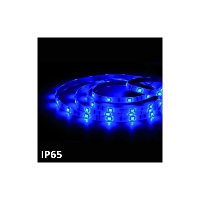 Led strip 5m BLUE SMD5050 (7.2 w) IP65 24V GSC 1504594