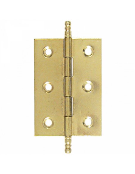 CAJA 24 BISAGRAS PLANA LATONADA 60x40mm 207 LIM