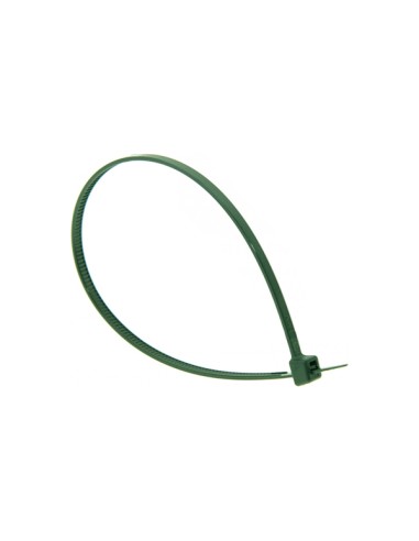 BOLSA 100 BRIDAS 2,5x100mm VERDE 11384 MIARCO