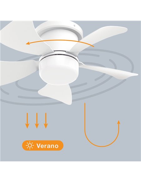 Mini ventilador techo Oristán con luz CCT regulable y mando Ø40 5 aspas DC Blanco