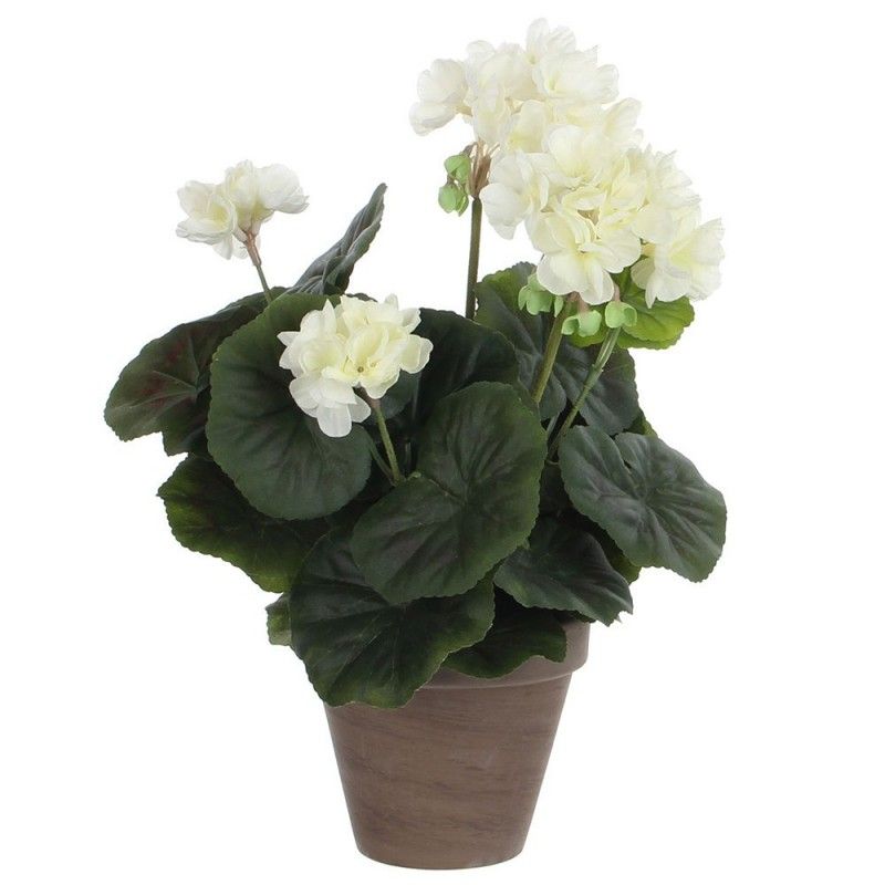 Geranium cream pvc potted EDM 83167