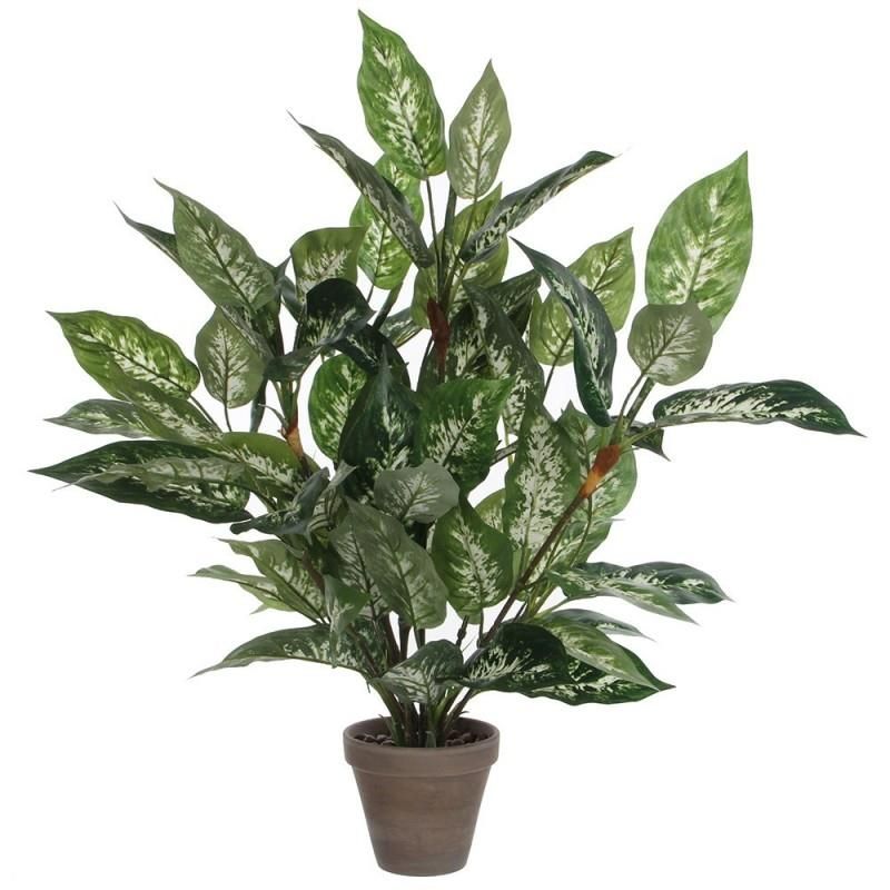 Dieffenbachia in pvc vaso grigio EDM 83176