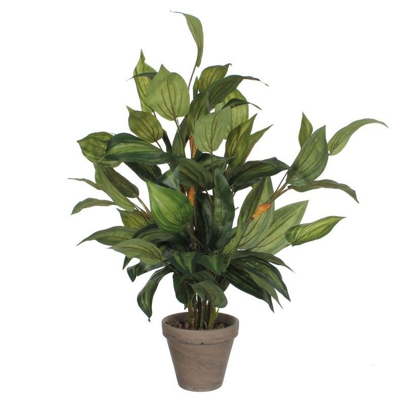 Hosta de pvc de vert manceta gris EDM 83177