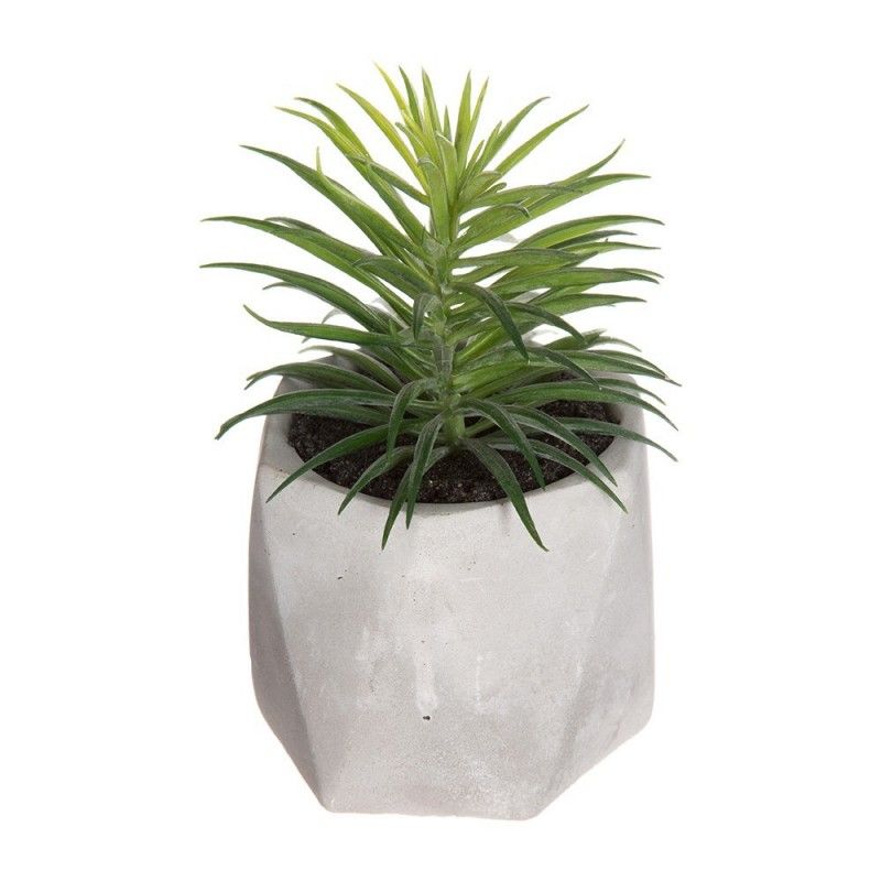 Planta decorativa con maceta 7x14cm modelos suritdos EDM 83208