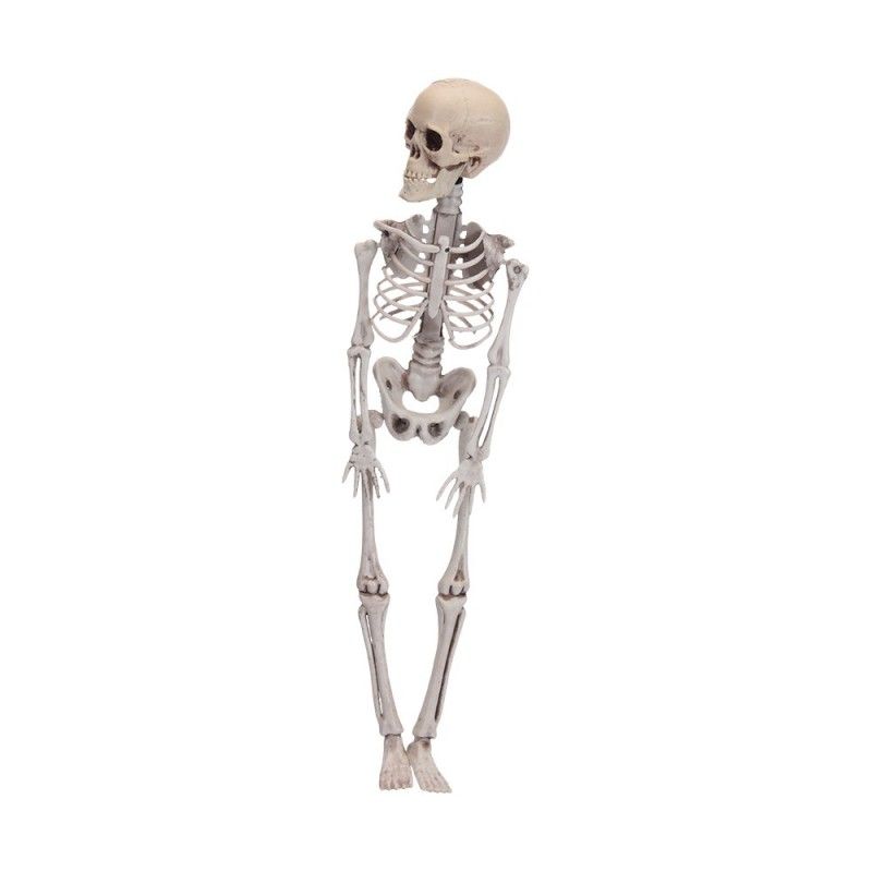 Halloween Skelett Figur 90cm EDM 71993