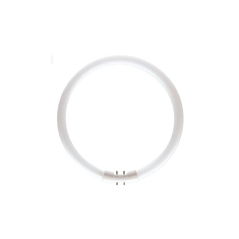 Fluorescent tube, T5 circular 60W 840 PHILIPS 64261525