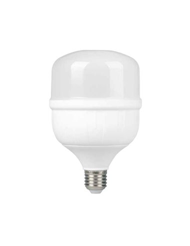 Light bulb LED industrial 50W E27 5000K 4500lm