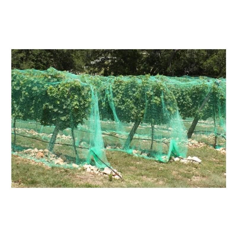 Filet anti-oiseaux 4x5mts idéales d'arbres fruitiers