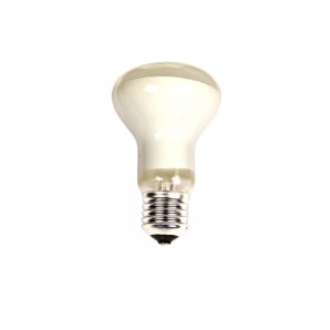 Lampadina a incandescenza standard chiara 40W E27 240V EDM 35101