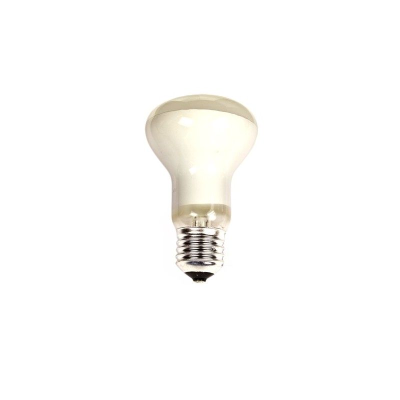 Lâmpada refletor incandescente r63 e27 60w