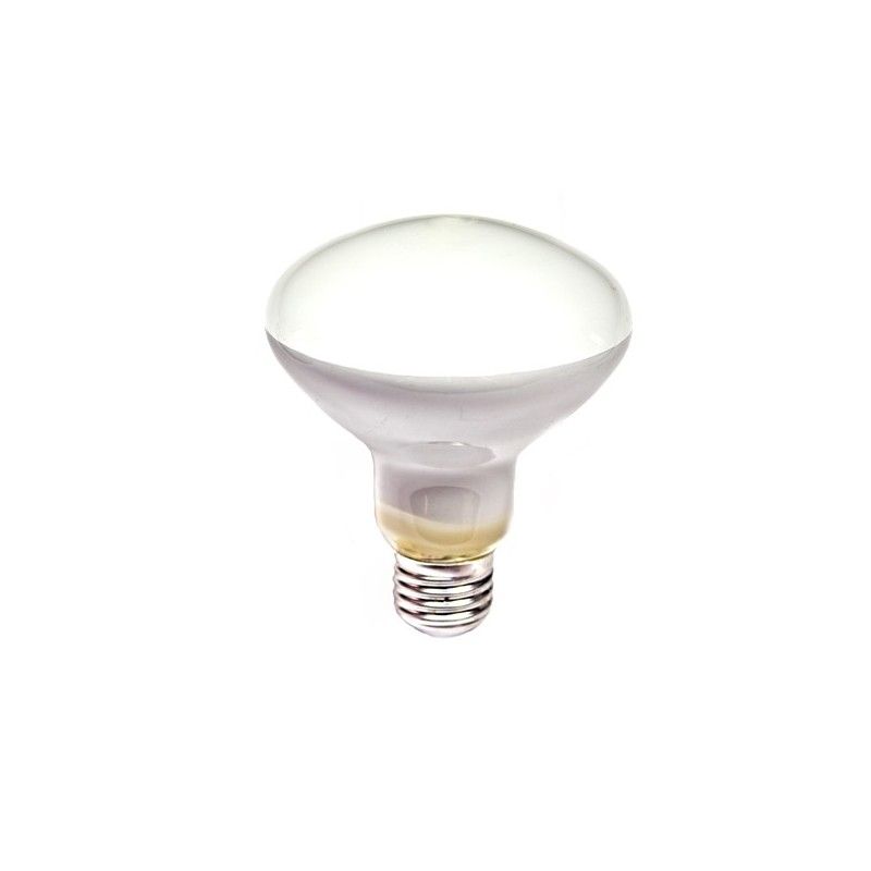 Lâmpada incandescente refletor r90 E27 60w